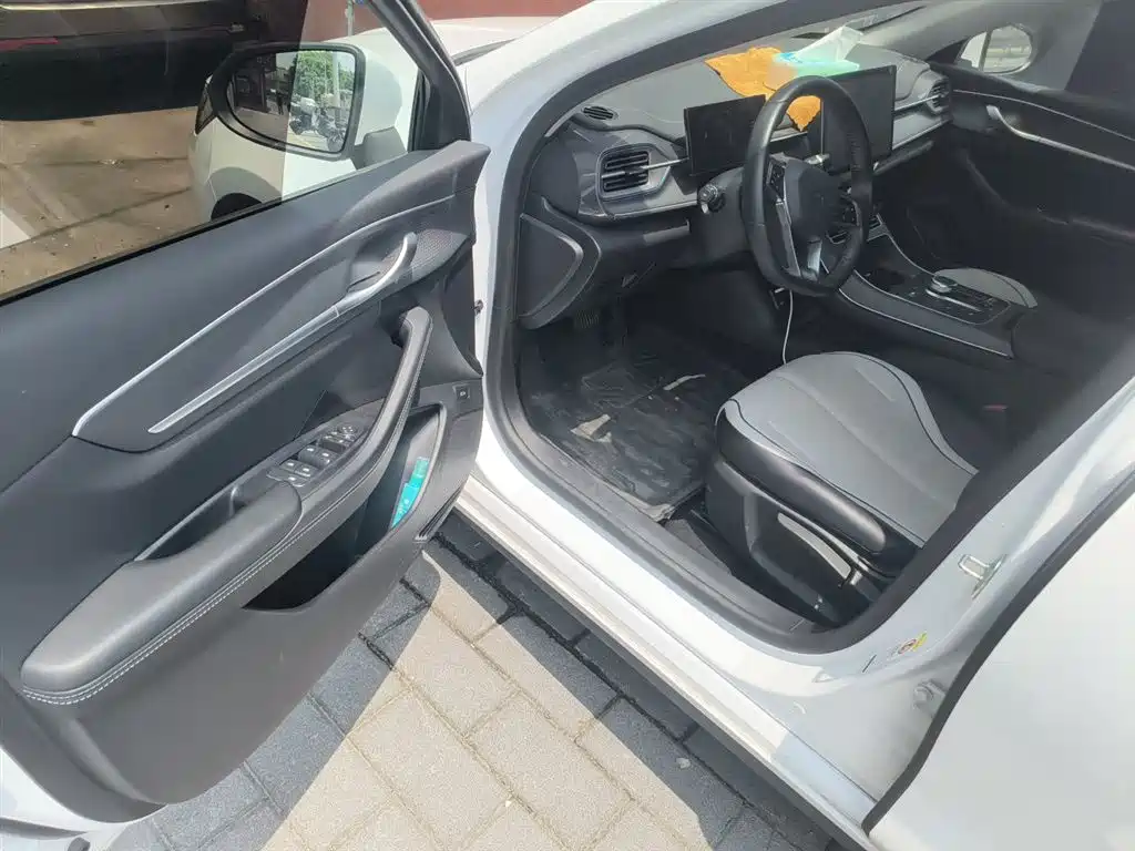 BYD Destroyer 05 2024 Glory Edition DM-i 55KM Luxury фото 14