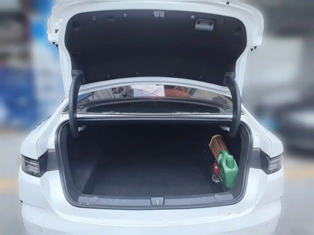 BYD Destroyer 05 2024 Glory Edition DM-i 55KM Luxury фото 10