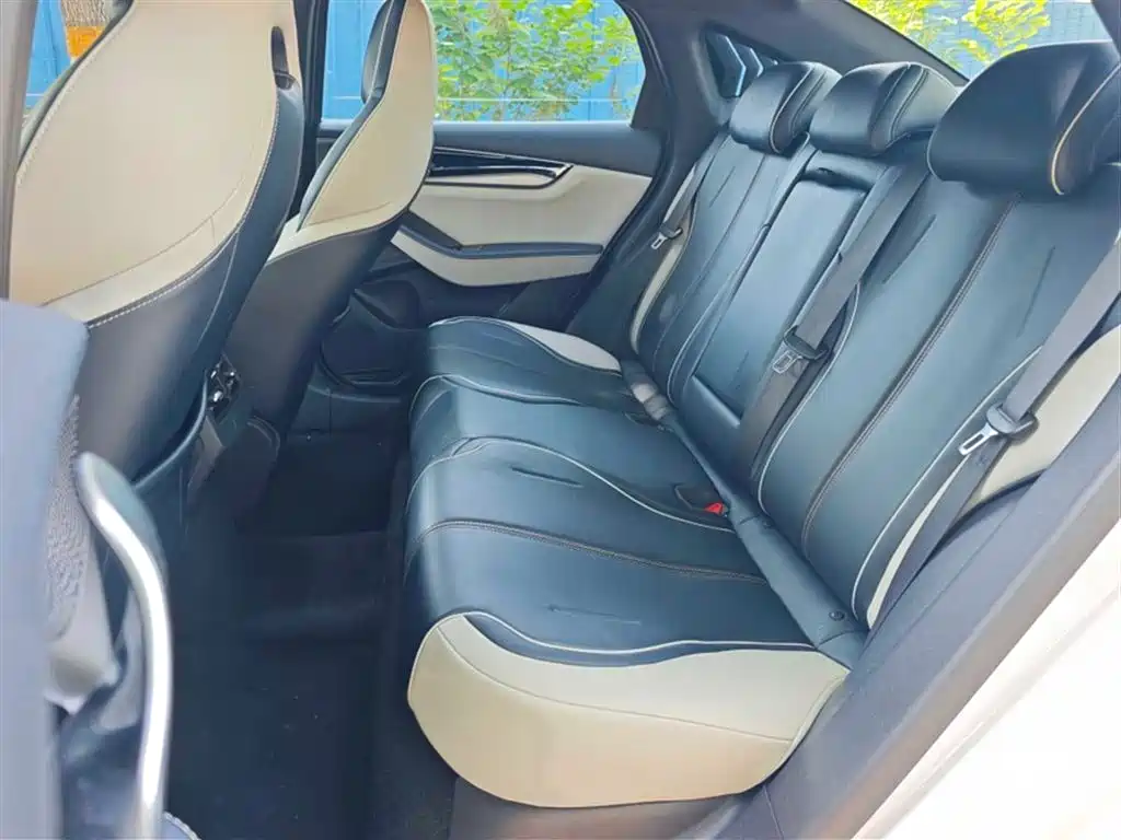 BYD Qin PLUS 2021 DM-i 55KM Flagship фото 11