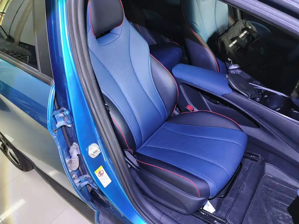 BYD Dolphin 2022 2021 401km Knight Edition