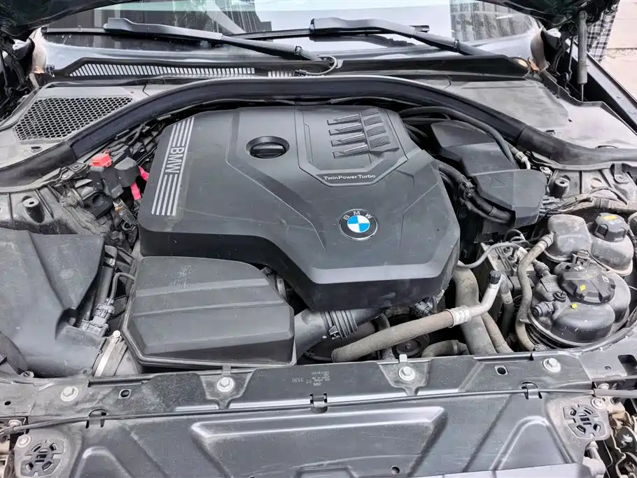 BMW 3 Series 2020 320Li M Sport Package фото 10