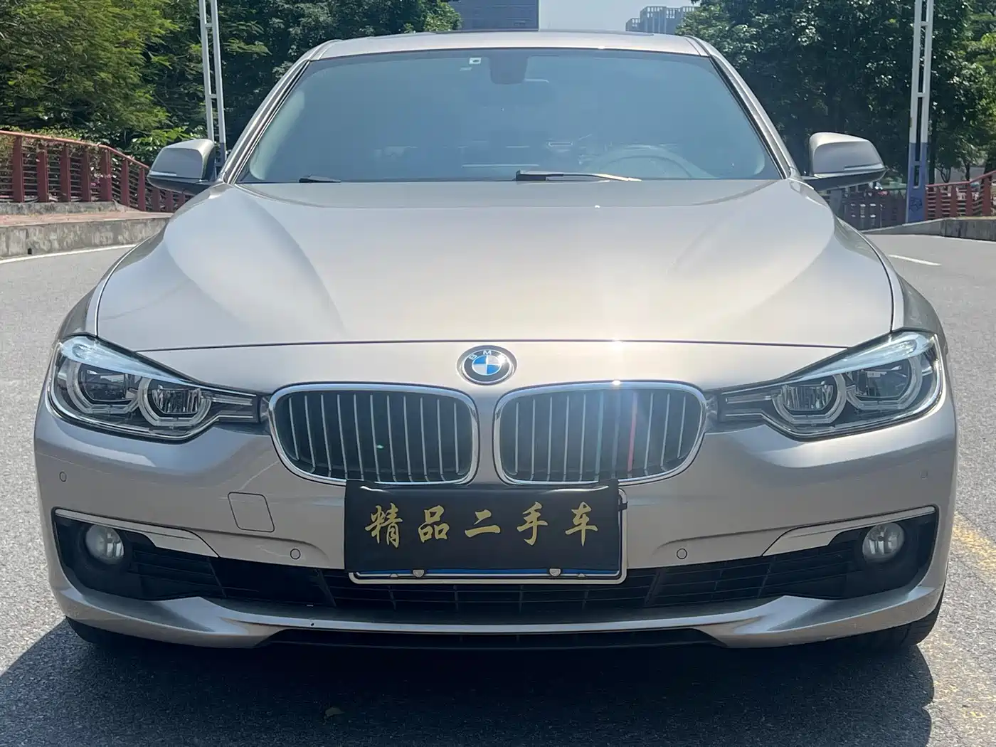 BMW 3 Series 2018 320Li Fashion Style фото 2