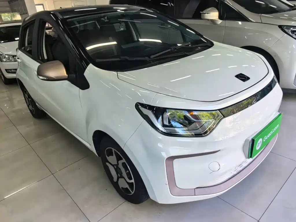 Sehol Flower Fairy 2023 2023 Anniversary Edition 301km Sunflower 36kW