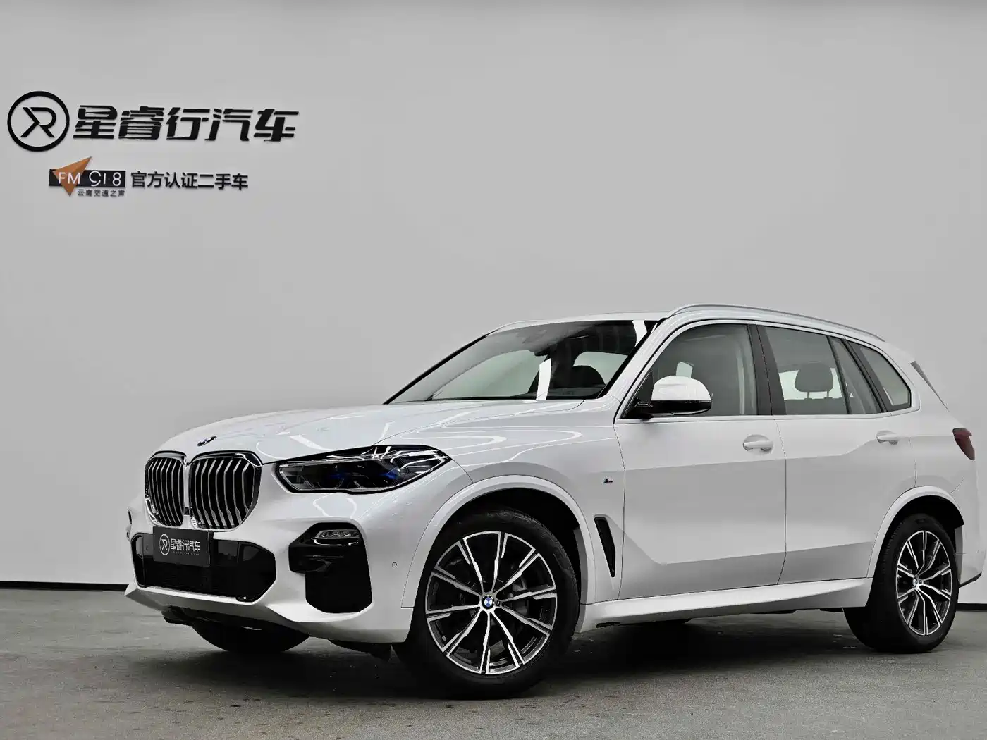 BMW X5 (Import) 2019 xDrive40i M Sport Package