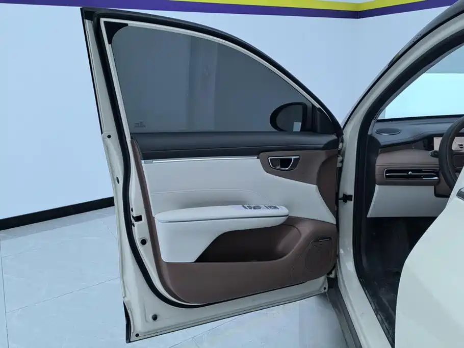 Wuling Motors Wuling Bingo S 2026 2025 Model 325km Premium Edition