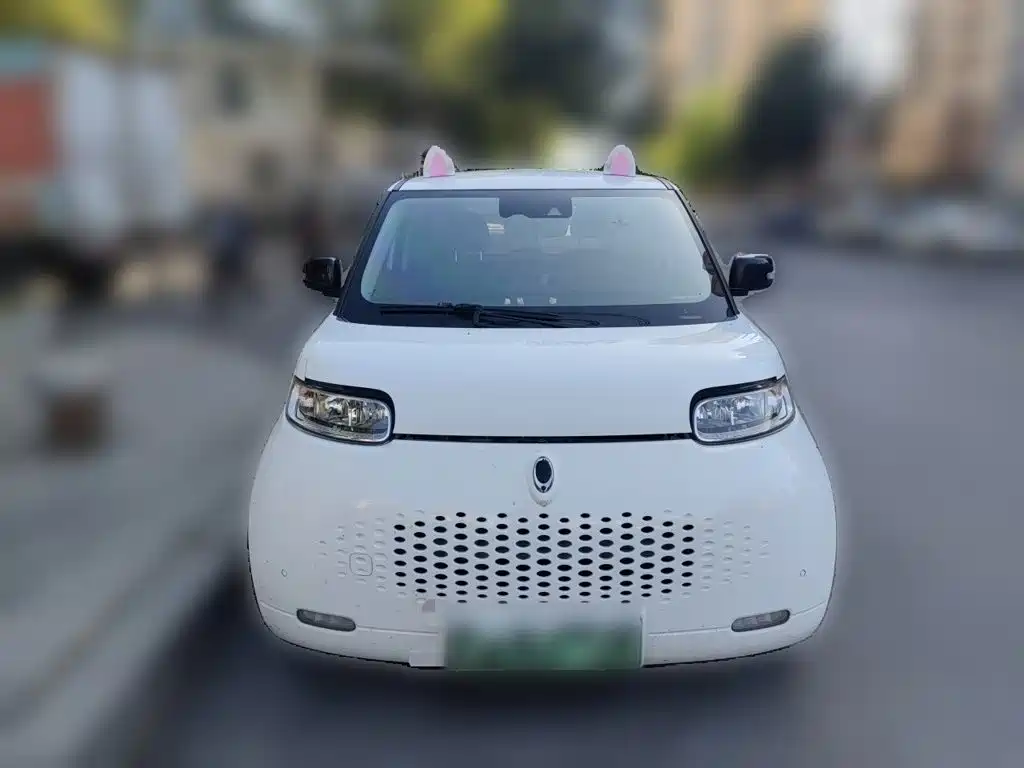 Photo 2 - Ora White Cat