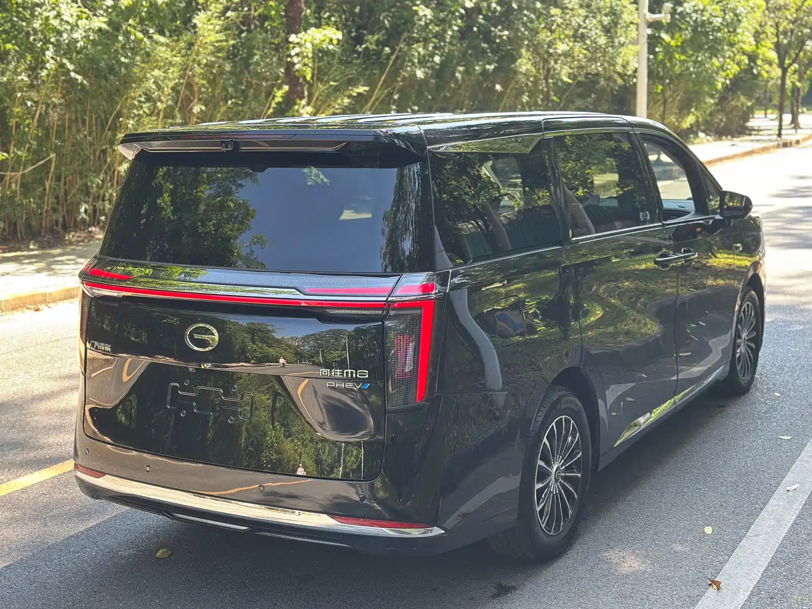 Фото 5 - GAC Trumpchi Trumpchi Xiangwang M8