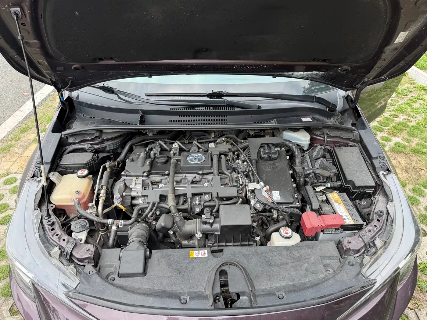 Toyota Levin 2019 Dual Engine 1.8H E-CVT Luxury Edition China V фото 18