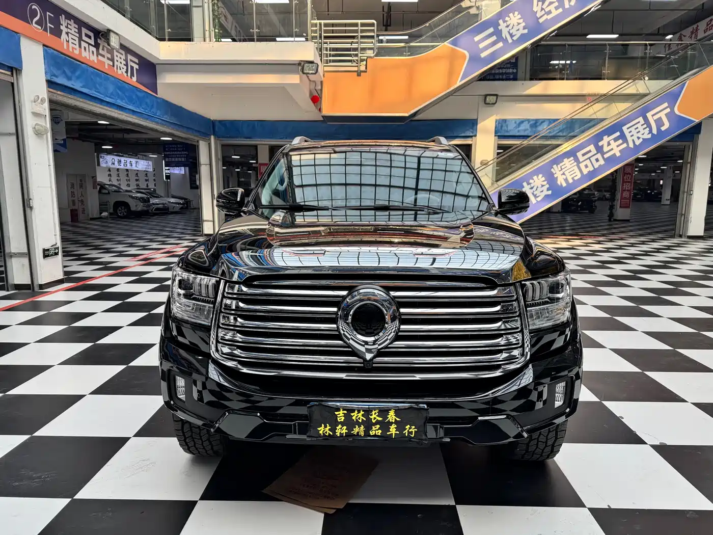 Great Wall Shanhai Cannon 2023 2.4T Diesel Ultimate Edition фото 2