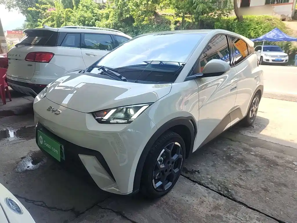 BYD Seagull 2024 Glory Edition 305km Freedom Edition