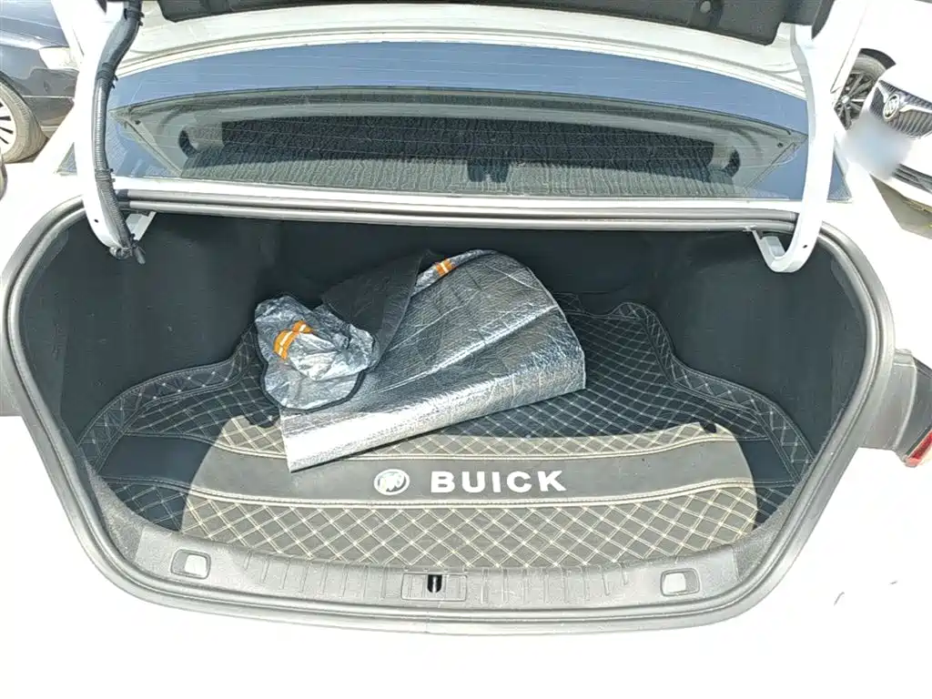 BUICK WEILANG