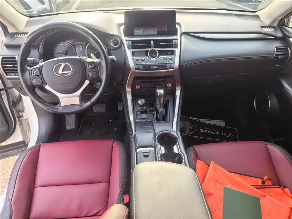 Lexus NX 2018 Model 300h FWD Fengshang Edition China V фото 10