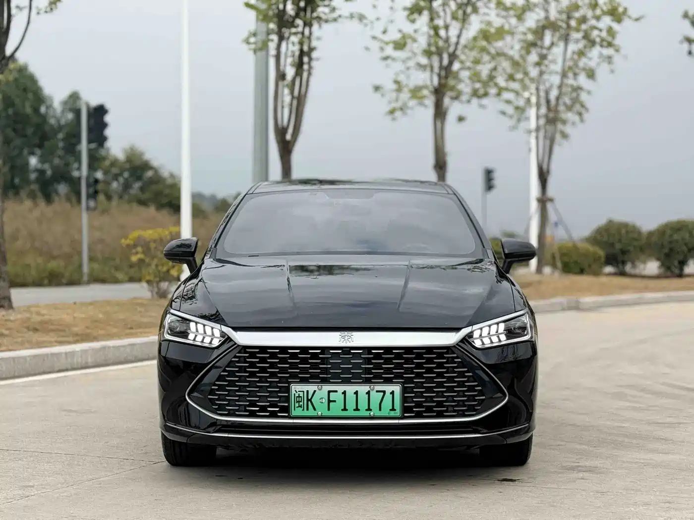 BYD Qin PLUS 2023 Champion Edition DM-i 55KM Leading фото 2