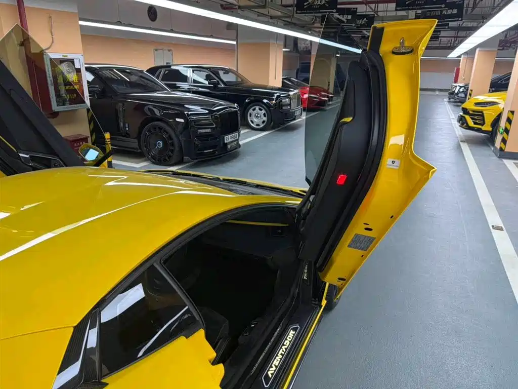 Lamborghini Aventador 2017 Aventador S фото 9