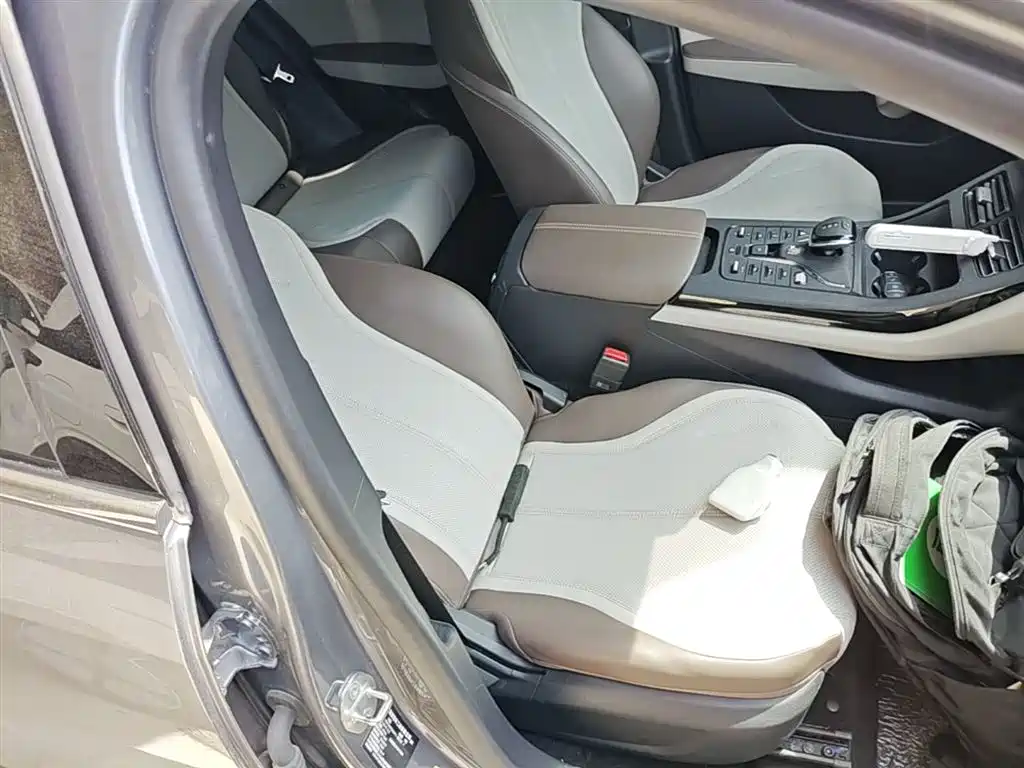 BYD Qin PLUS 2024 Glory Edition DM-i 55KM Leading фото 25