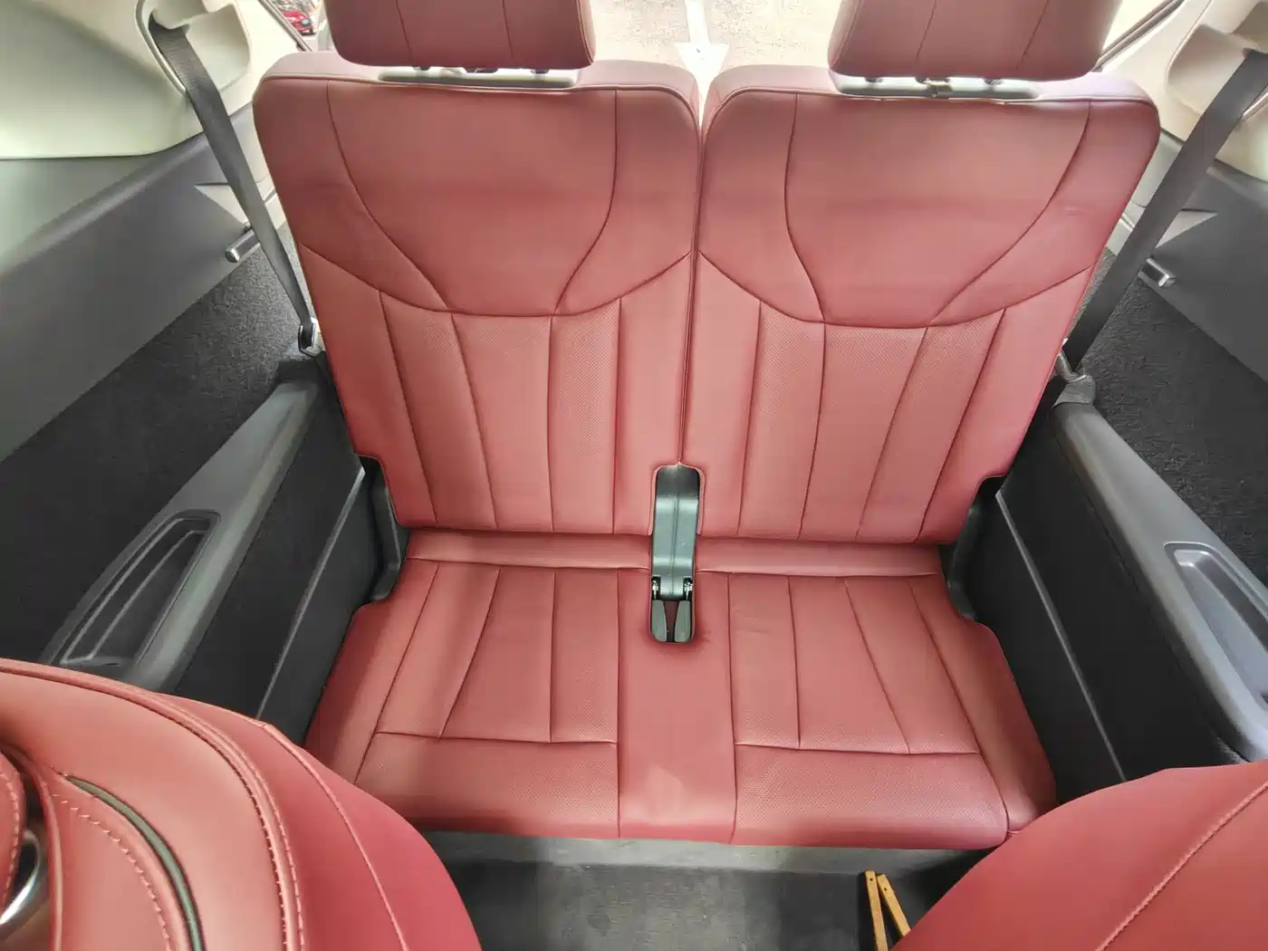 Hongqi E-HS9 2022 690km Qi Xiang Edition (6-seater) фото 13
