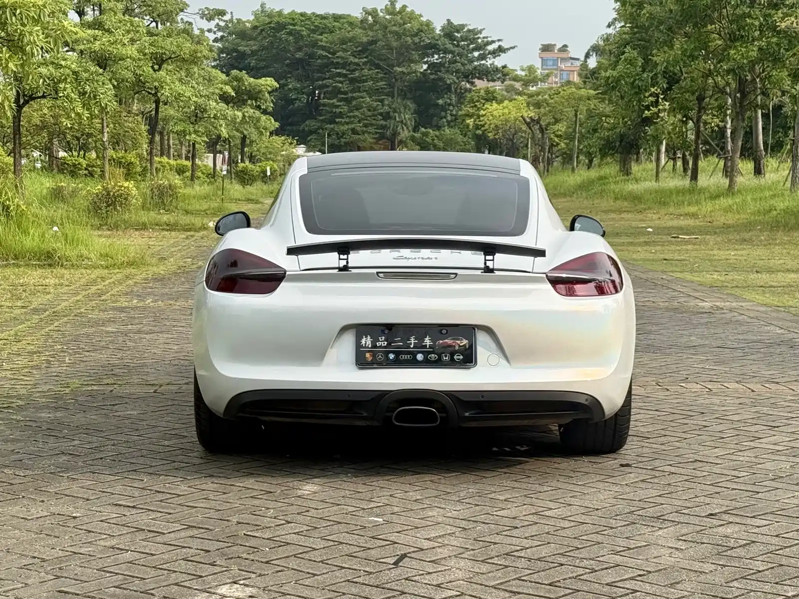 صورة 15 - Porsche Cayman