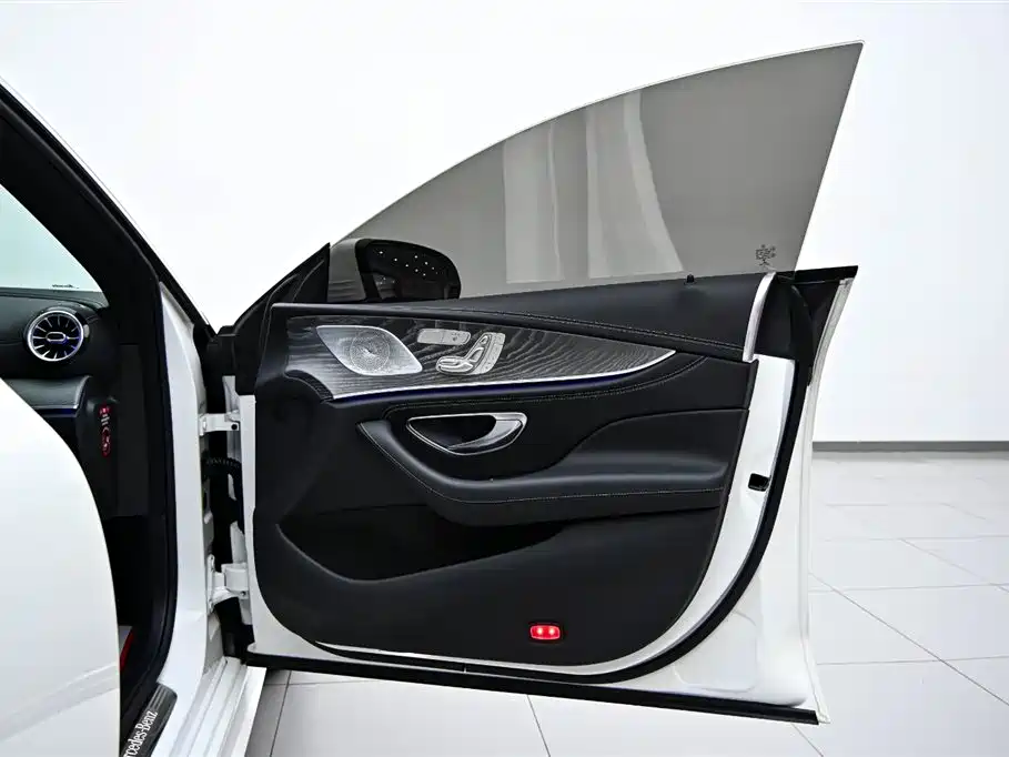 Mercedes-Benz CLS 2022 CLS 300 Luxury фото 20