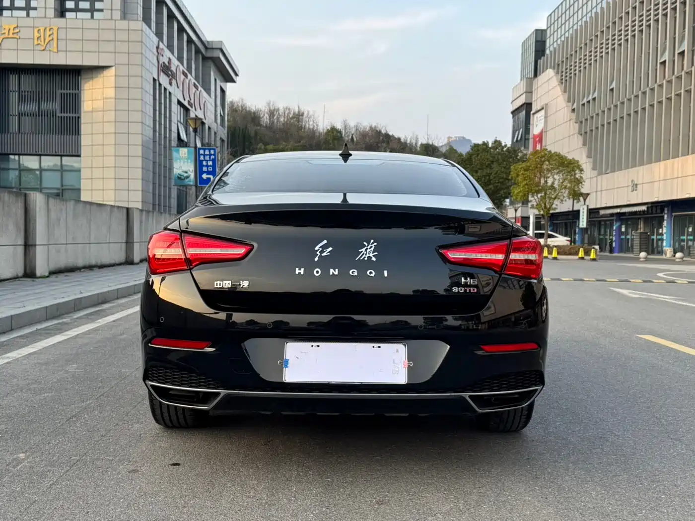Hongqi H5 2019 30TD Style Edition фото 5