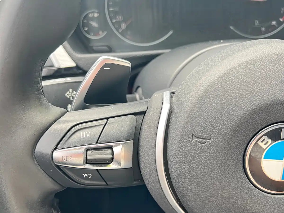 BMW 3 Series GT 2019 320i M Sport Model фото 23