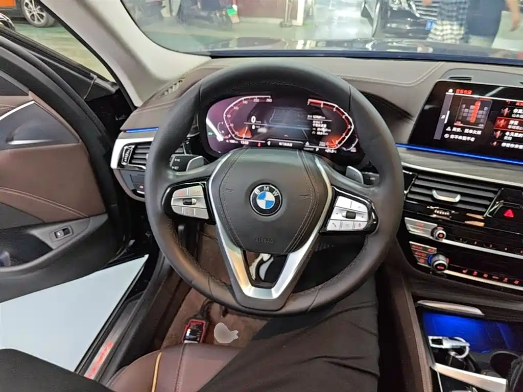 BMW 5 Series 2020 530Li Leading Luxury Package фото 11