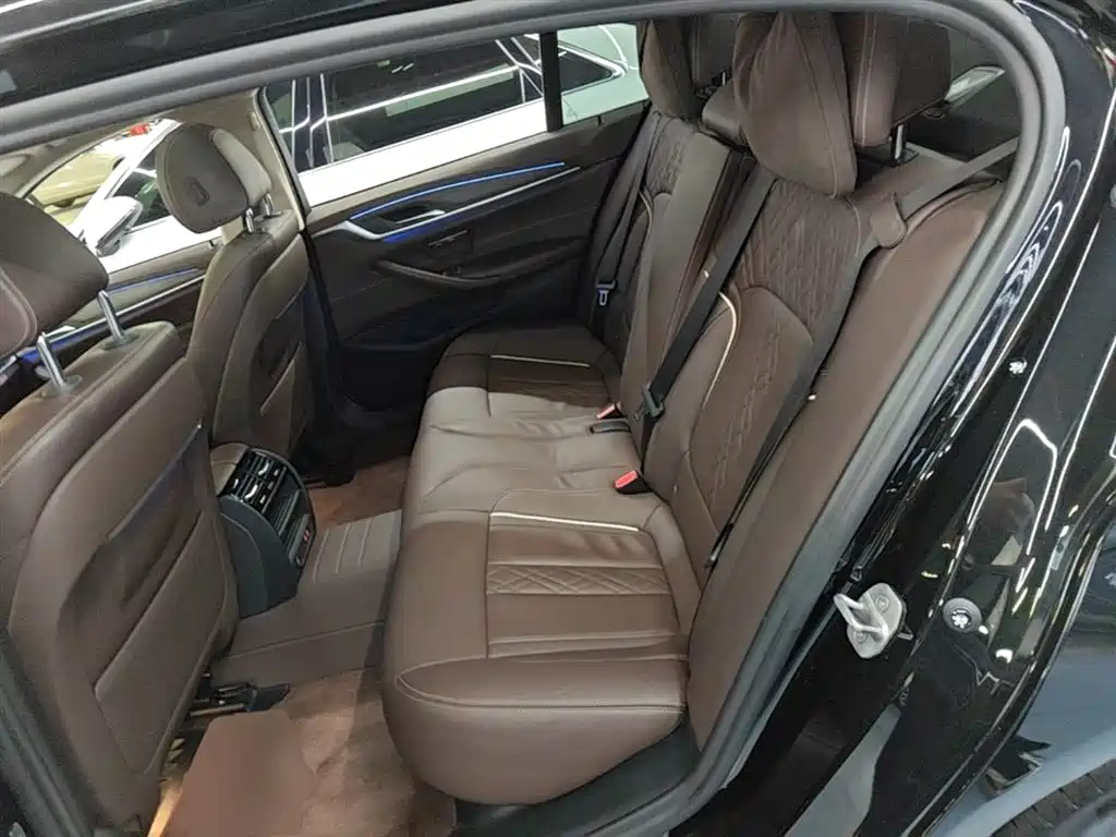 BMW 5 Series 2020 530Li Leading Luxury Package фото 17
