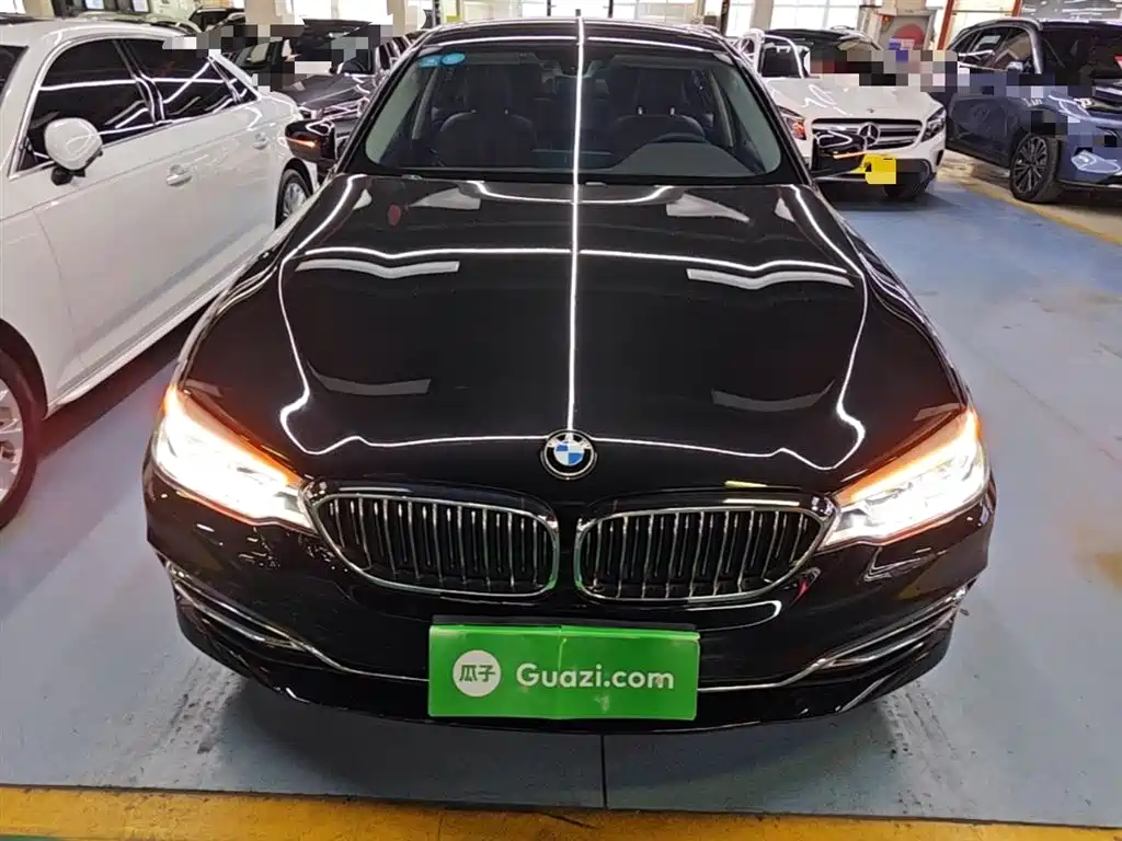 BMW 5 Series 2020 530Li Leading Luxury Package фото 3