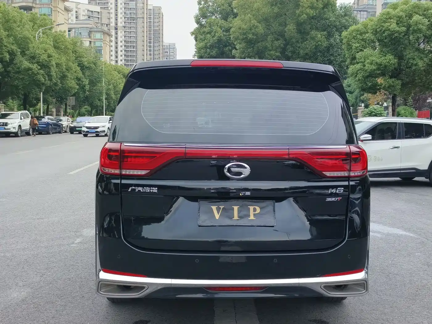 GAC Trumpchi Trumpchi M8 2023 Leading Series 390T Luxury Edition фото 16