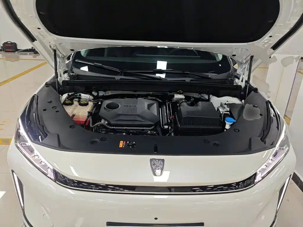 Roewe D5X DMH 2024 2024 Model 135 Technology Edition