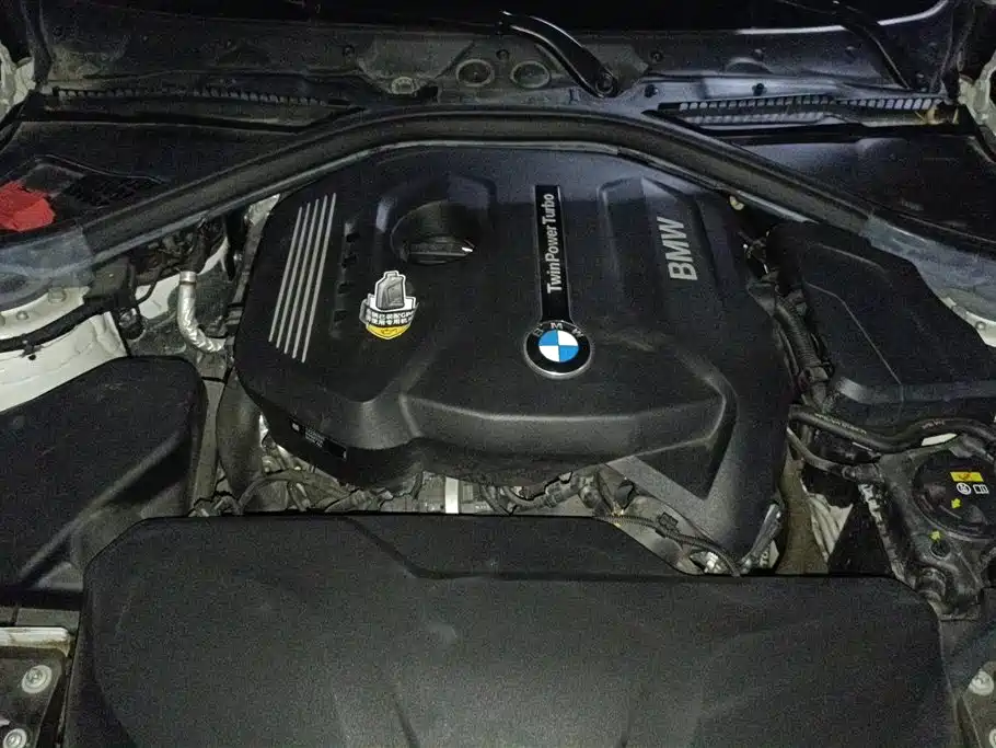 BMW 3 Series GT 2020 320i M Sport Package фото 10
