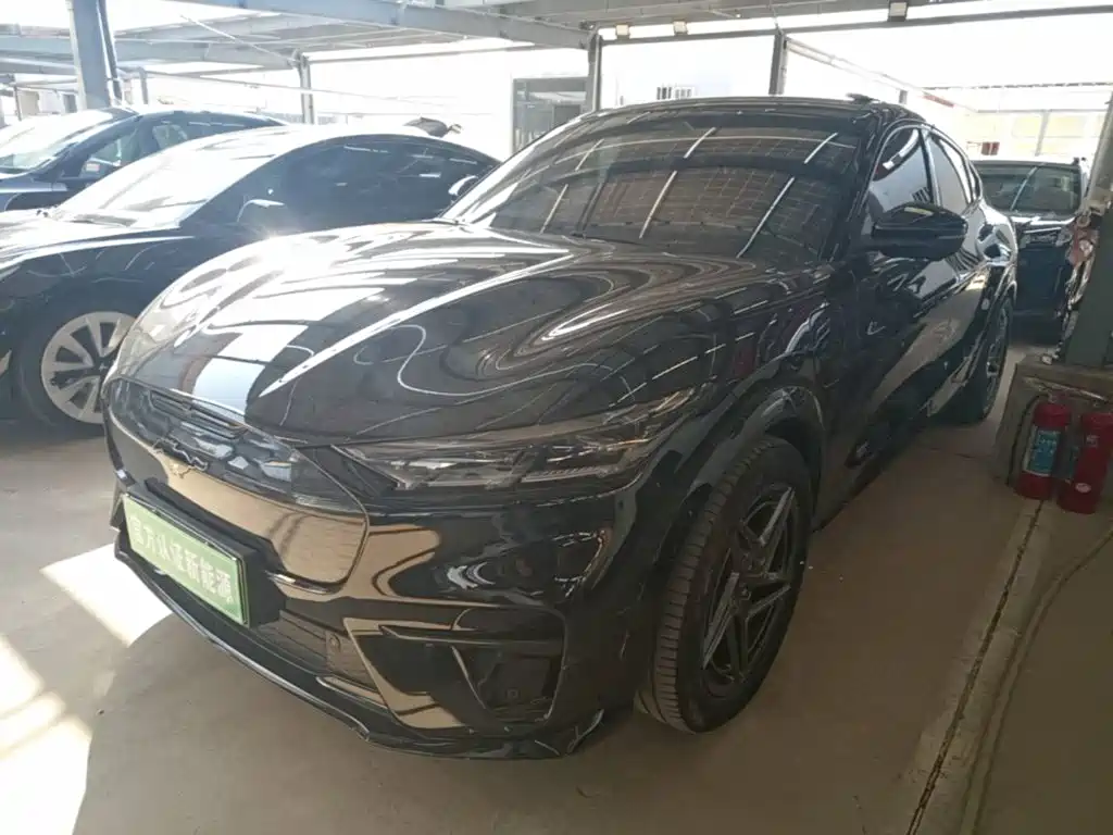 Ford Mustang Mach-E 2022 2021 GT
