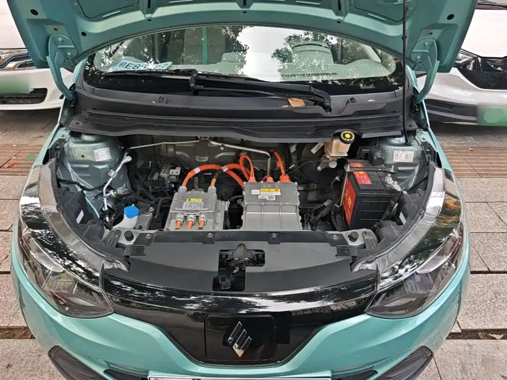 JMCG New Energy Little Kirin 2024 2023 Model Lucky Edition 201km Comfort