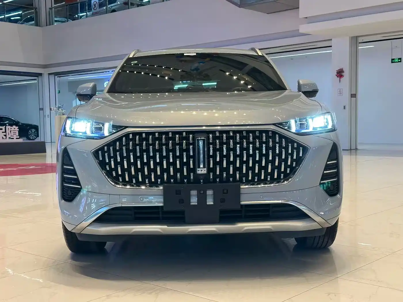 WEI PAI WEI BRAND MOCHA