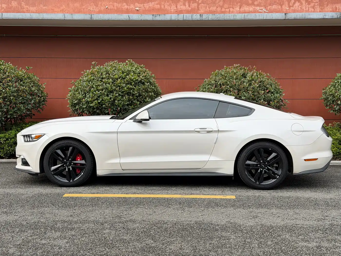 Ford Mustang 2017 2.3T Performance Edition фото 11