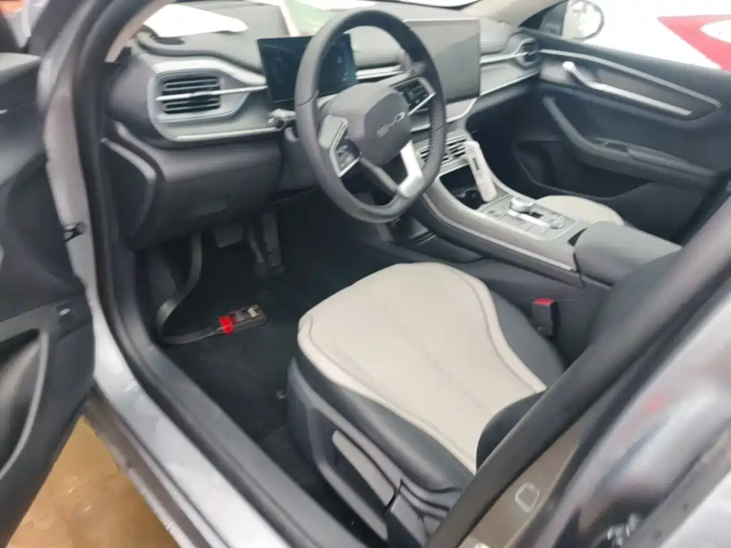 BYD Destroyer 05 2024 2023 Champion Edition DM-i 55KM Luxury