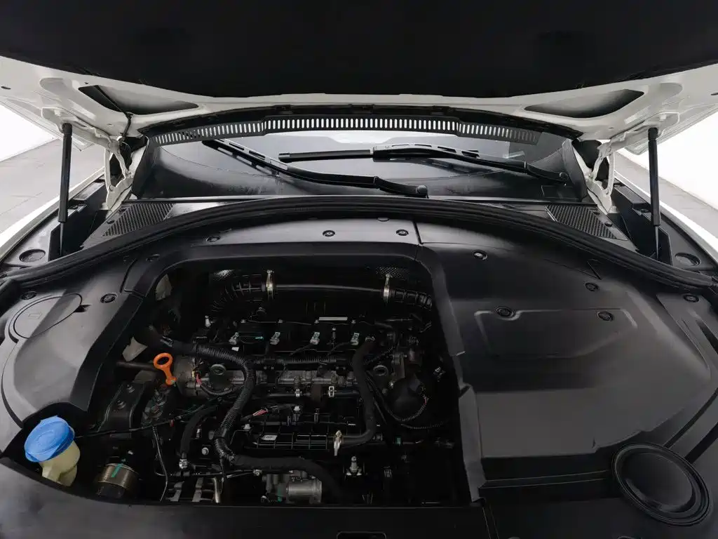 WEY VV7 2017 2017 2.0T Flagship