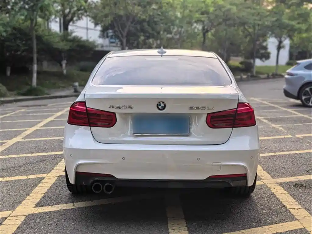 BMW 3 Series 2018 320Li Leading M Sport Package фото 10