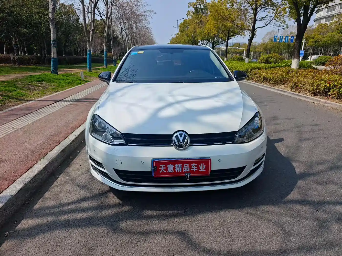 Volkswagen Golf 2017 230TSI Auto Comfort Millionth Anniversary Edition фото 2