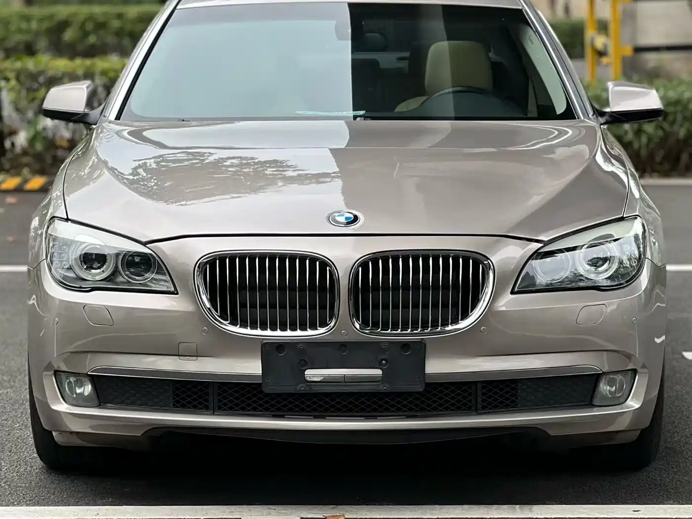 BMW 7 Series 2011 730Li Elegance фото 3