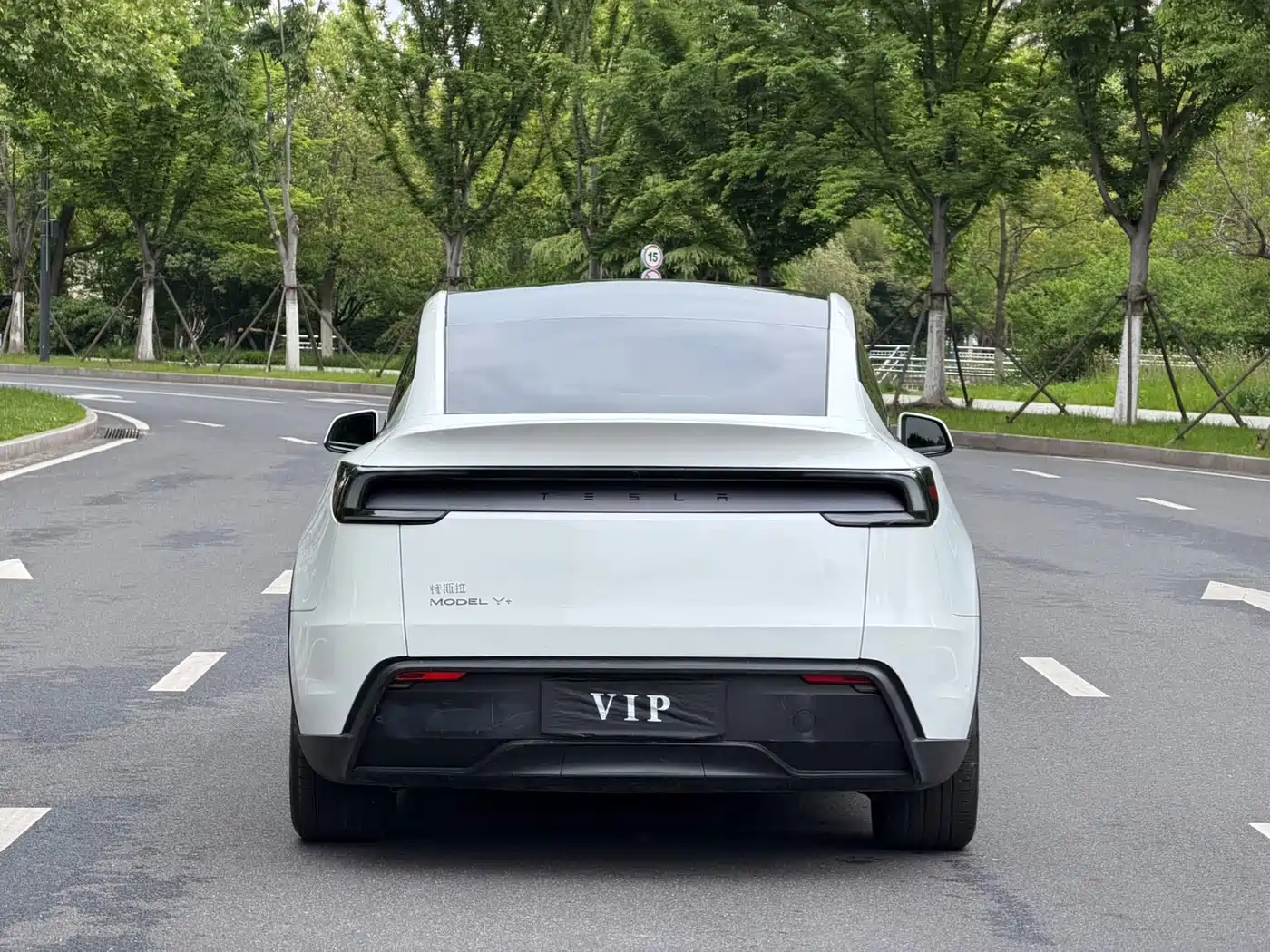 Tesla Model Y 2026 Long Range Rear-Wheel Drive фото 5