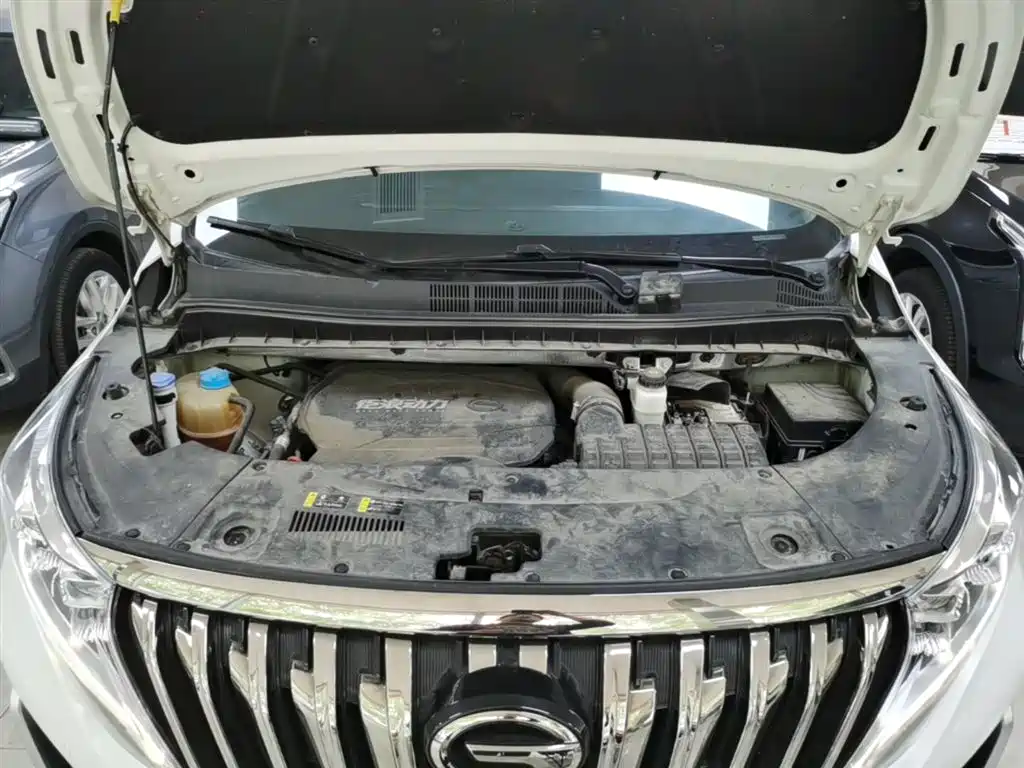 GAC Trumpchi Trumpchi M8 2021 Master Series 390T Prestige Edition фото 20