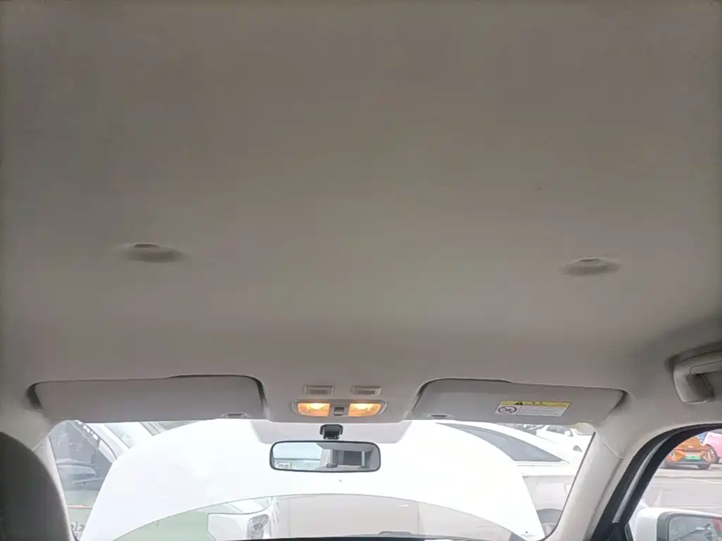Ora White Cat 2020 2020 360km Luxury Model