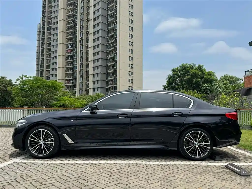 BMW 5 Series 2020 530Li Exclusive M Sport Package фото 8
