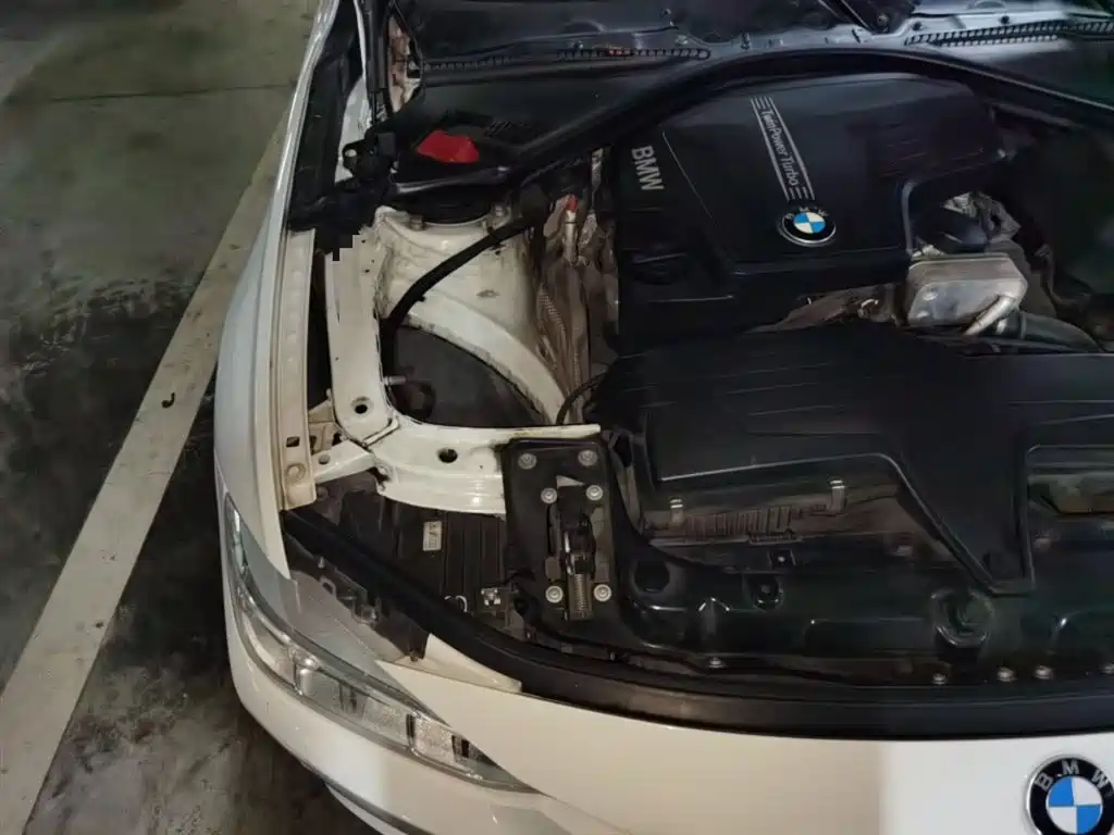 BMW 3 Series 2014 320Li Luxury Design Package фото 21