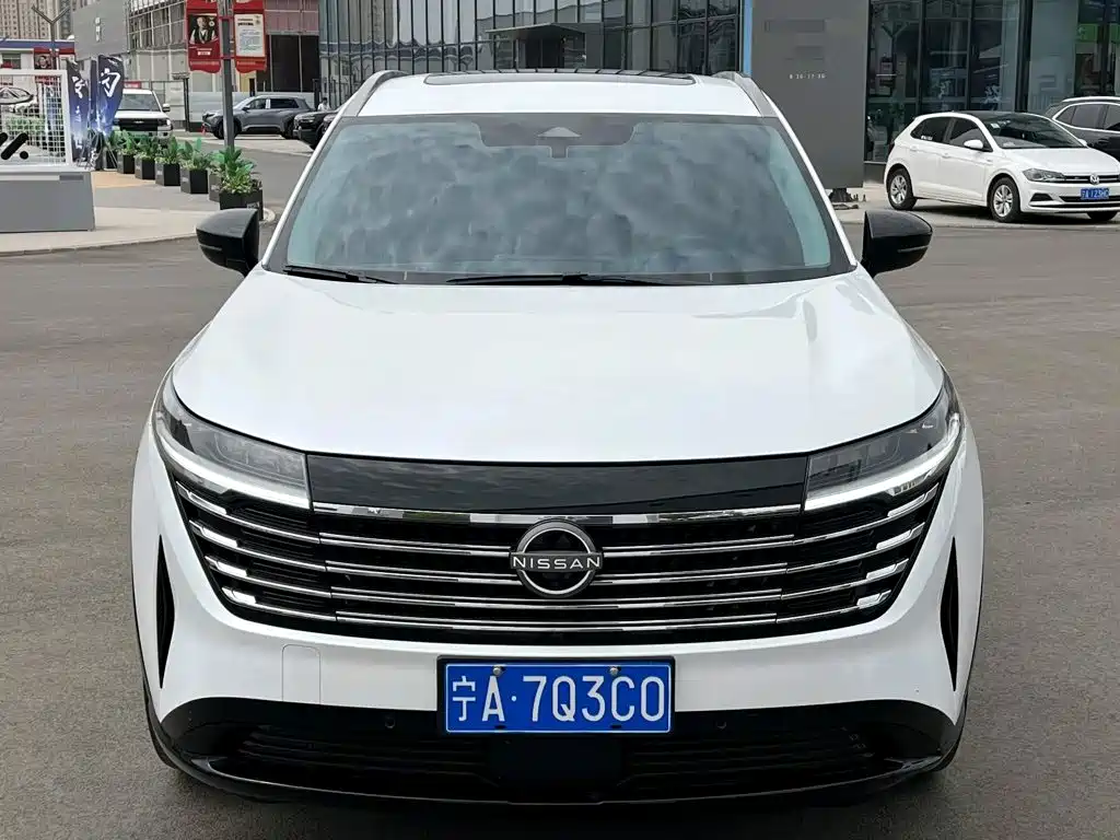 Nissan Terra, миниатюра 3