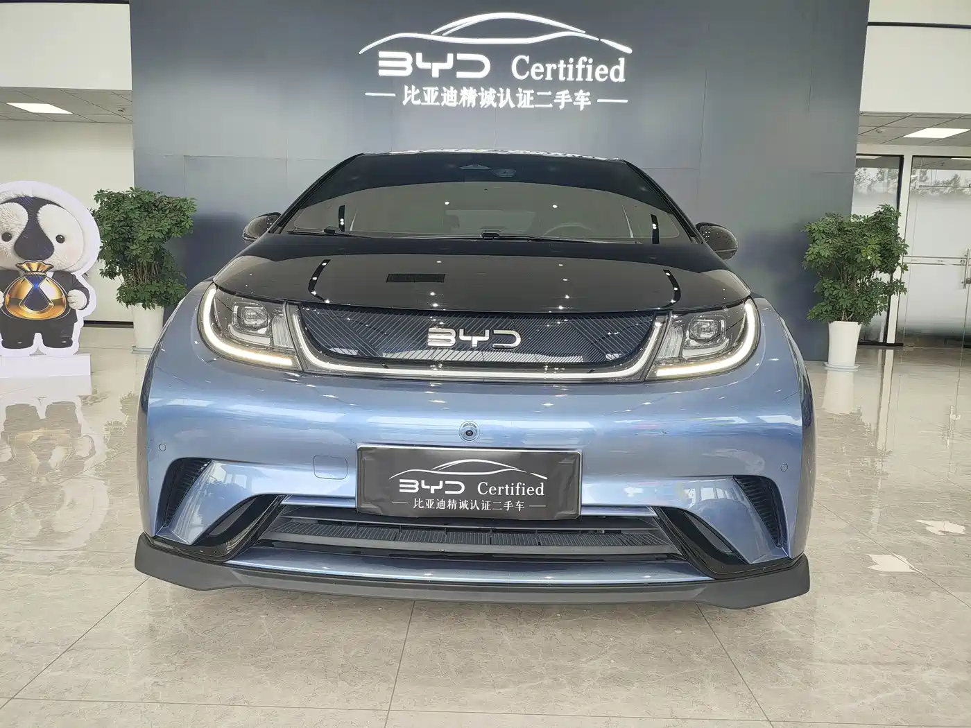 Photo 2 - BYD Dolphin