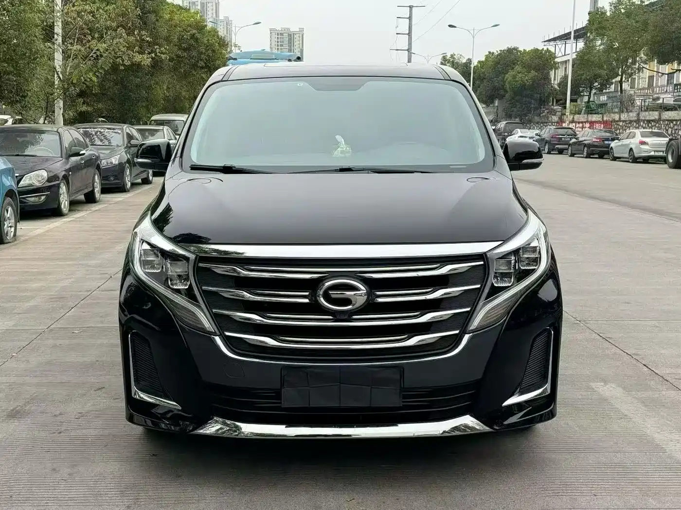 GAC Trumpchi Trumpchi M8 2020 Pilot 390T Premium Edition фото 2