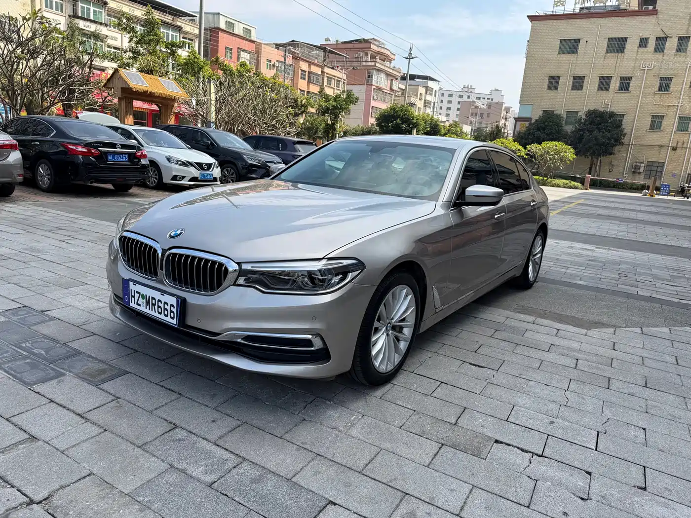 BMW 5 Series 2020 530Li Leading Luxury Package