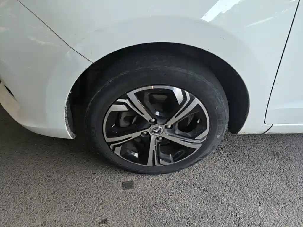 Changan Benben E-Star 2020 2020 Heartbeat Edition (NMC Battery)
