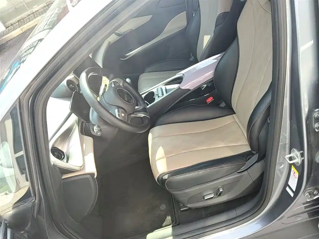 BYD Dolphin 2023 420km Fashion Edition фото 15